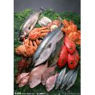 F3深海海鲜组合2023