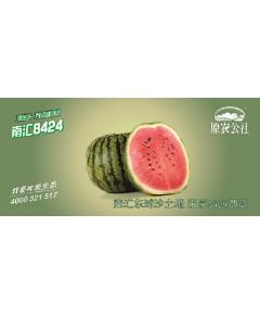 南汇8424西瓜提货券（4只装）