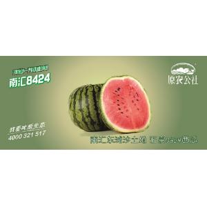 南汇8424西瓜提货券（2只装）