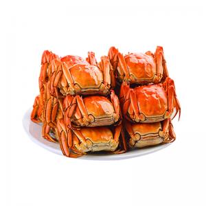 阳澄湖大闸蟹组合1688型