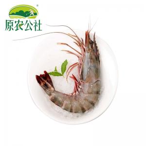 生冻黑虎虾（大号斑节虾）