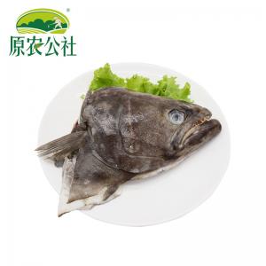 俄罗斯深海鸦片鱼头400g